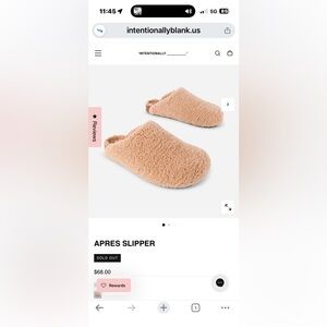 Intentionally Blank Apres slippers